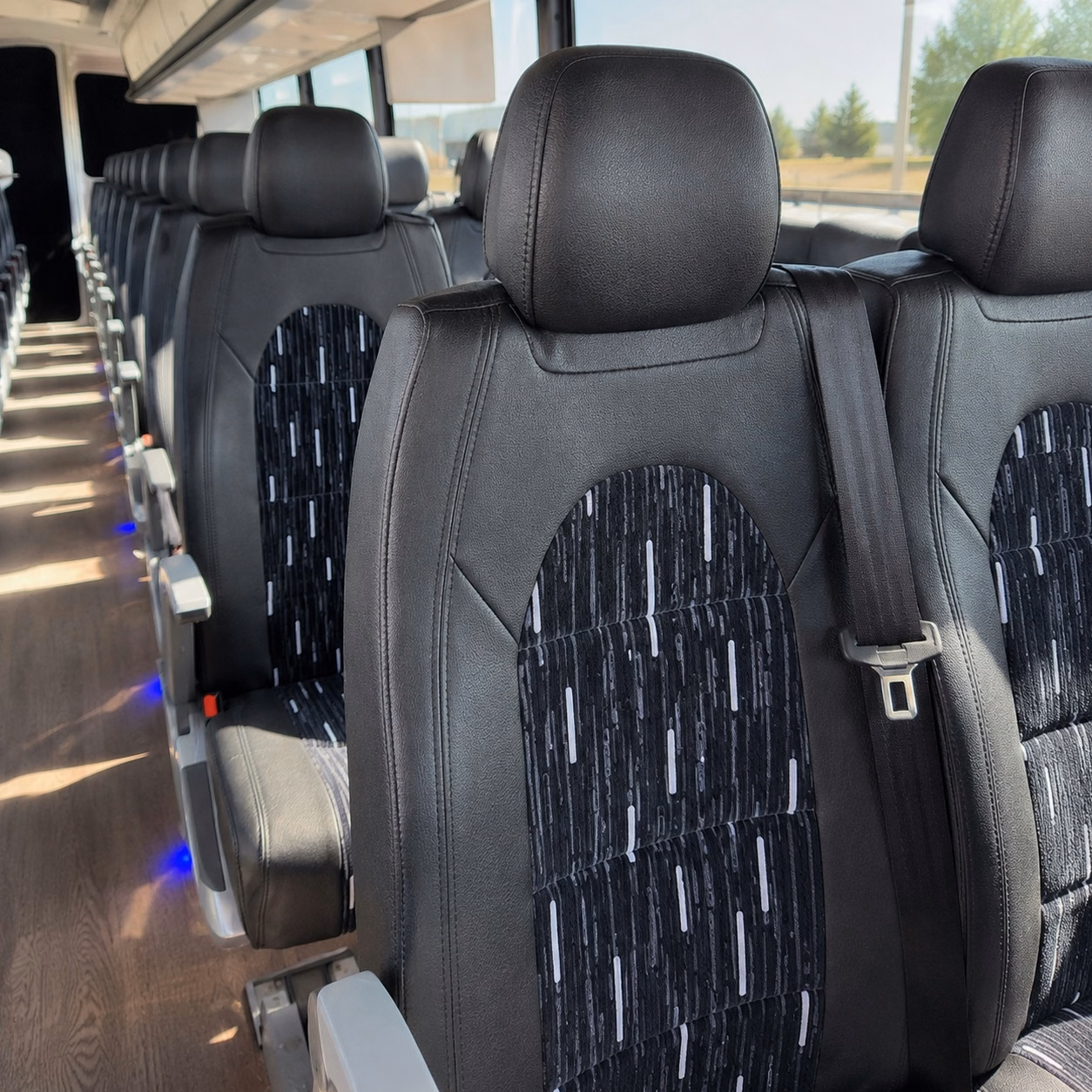 carlsbad concert transportation